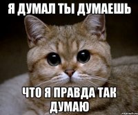 я думал ты думаешь что я правда так думаю