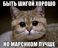 Быть Шигой хорошо Но Марсиком лучше