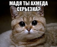 Мадя ты Ахмеда серьезка? 