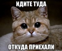 Идите туда откуда приехали