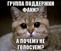 Группа поддержки ФАКИ? А почему не голосуем?