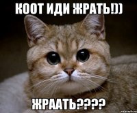 коот иди жрать!)) ЖРААТЬ????