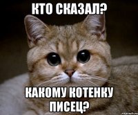 Кто сказал? Какому котенку писец?