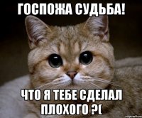 Госпожа СУДЬБА! что я тебе сделал плохого ?(