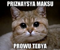 priznaysya Maksu prowu tebya