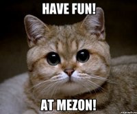 Have Fun! At Mezon!