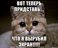 вот теперь придставь.... ЧТО Я ВЫРУБИЛ ЭКРАН!!!!!