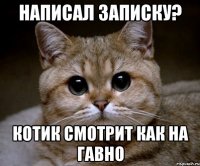 Написал записку? Котик смотрит как на гавно