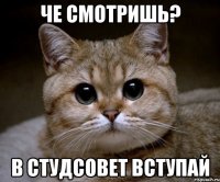 че смотришь? в студсовет вступай