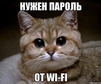 нужен пароль от wi-fi