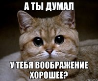 А ты думал у тебя воображение хорошее?