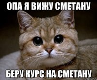 Опа я вижу сметану беру курс на сметану