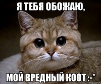 я тебя обожаю, мой вредный коот :-*