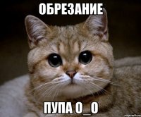 обрезание пупа о_о