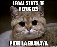 Legal stats of refugees Pidrila ebanaya