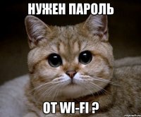 нужен пароль от Wi-Fi ?