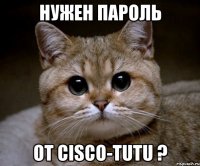 нужен пароль от cisco-tutu ?