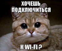 хочешь подключиться к wi-fi ?