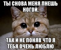 Ты снова меня пнешь ногой, так и не поняв что я тебя очень люблю