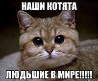 наши котята людьшие в мире!!!!!