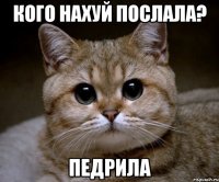 кого нахуй послала? педрила