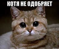 Котя не одобряет 