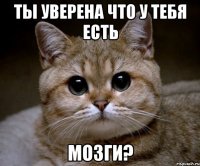 ты уверена что у тебя есть МОЗГИ?