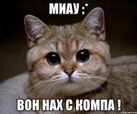 миау :* Вон НАХ с компа !