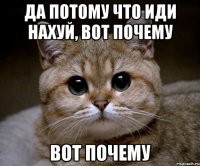 да потому что иди нахуй, вот почему вот почему