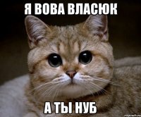 Я Вова Власюк А ты нуб