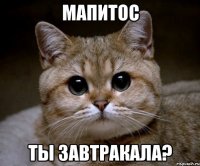 Мапитос Ты завтракала?