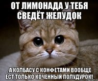 от лимонада у тебя сведёт желудок , а колбасу с конфетами вообще ест только коченный полудурок!