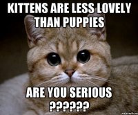 Kittens are less lovely than puppies Are you serious ??????