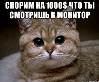 Спорим на 1000$ что ты смотришь в монитор 