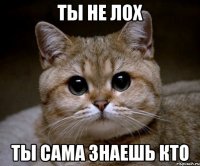 ты не лох ты сама знаешь кто