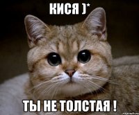 Кися )* ТЫ НЕ ТОЛСТАЯ !