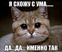 Я схожу с ума...... да...да... именно так