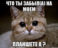 что ты забыл(а) на моем планшете а ?