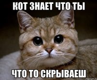 КОТ ЗНАЕТ ЧТО ТЫ ЧТО ТО СКРЫВАЕШ