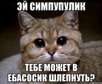 эй симпупулик тебе может в ебасосик шлепнуть?