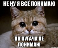 Не ну я всё понимаю Но пугача не понимаю