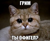 Грим ты офигел?