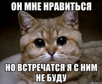 Он мне нравиться но встречатся я с ним не буду