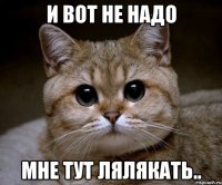 И вот не надо мне тут лялякать..