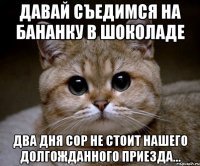 Давай съедимся на бананку в шоколаде Два дня сор не стоит нашего долгожданного приезда...