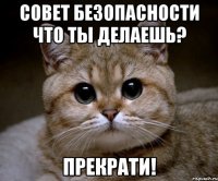 Совет безопасности что ты делаешь? Прекрати!