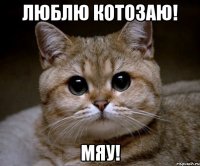 Люблю Котозаю! мяу!