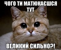 Чого ти матюкаєшся тут Великий сильно?!