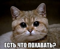  ЕСТЬ ЧТО ПОХАВАТЬ?