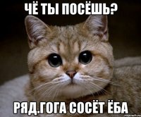 Чё ты посёшь? Ряд.гога сосёт ёба